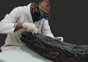Abdelmoniem Mohammed - conservation of mummified crocodile.jpg