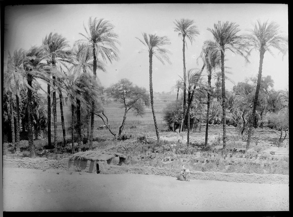 AB.NEG.09.001b.jpg