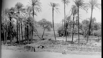 AB.NEG.09.001b.jpg