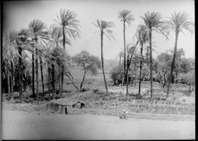 AB.NEG.09.001b.jpg