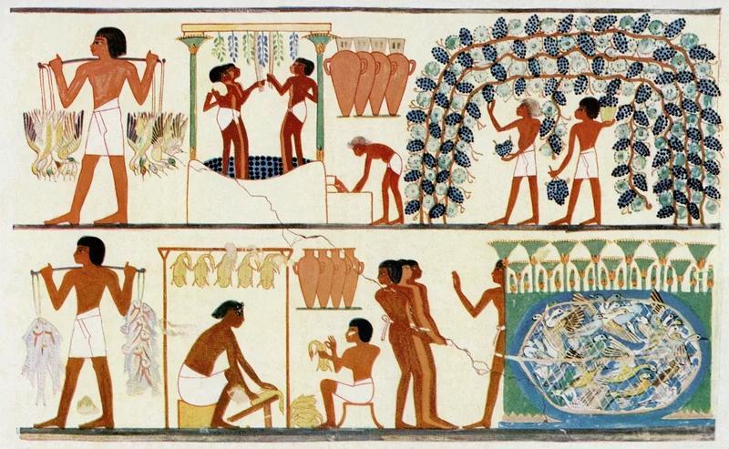 Childhood in Ancient Egypt_Grape Harvesting and Bird Catching
