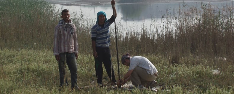 Ben Pennington conducting an auger by the river bank at Naukratis