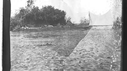 Archive Glass Negative Conservation