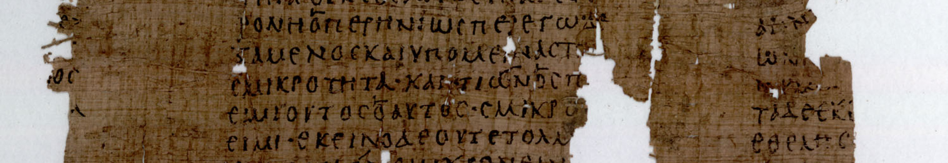 https://www.ees.ac.uk/static/4ad1a032-799c-4e53-88b1e357f973ffdc/standardpagebanner1441_7242ace66cbab00fd6c58e4dec013ae5_332e7ee10c56/POxyXV1809.jpg
