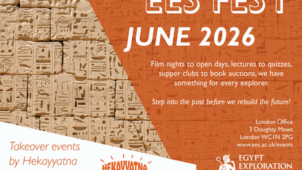 EES Fest Poster.png