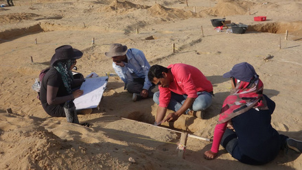 Imbaba Governorate Prehistoric Survey