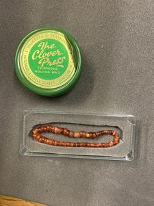 Maia Nolan_Intern_05.031 rehoused and original housing