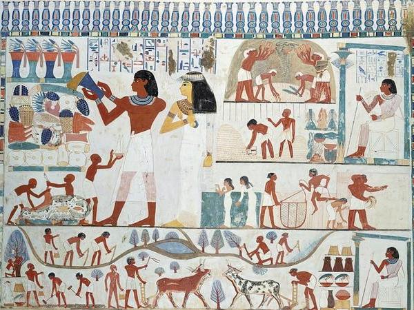 Life at Work on the Nile_Agricultural Workers_Tomb of Nakht