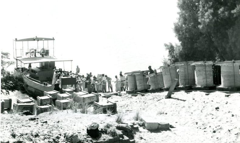 878E-GetImage.jpg