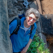 Dr Penny Wilson