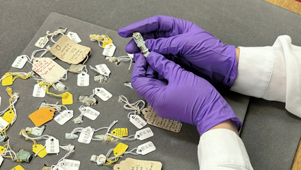 Maia Nolan_Intern_Buto artefacts tray