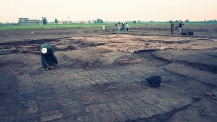 Kom al-Ahmer / Kom Wasit Archaeological Project