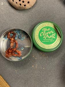 Maia Nolan_Intern_OBJ.05.030-031 in original housing