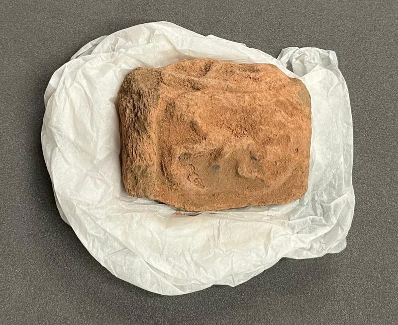 Maia Nolan_Intern_EES.OBJ.05.029