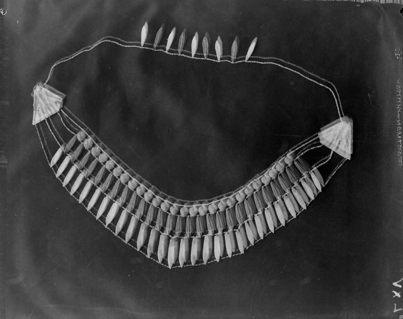 Image TA.NEG.28-29.0111 showing the beaded collar, though the image is less clear than that published.